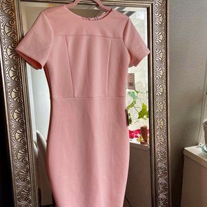 NWT Elegant Blush Pink, Below Knee Pencil Dress